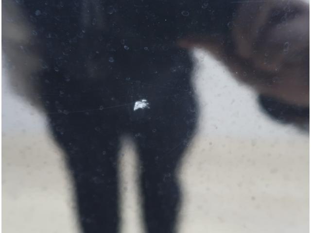 左リヤドアに傷がございます