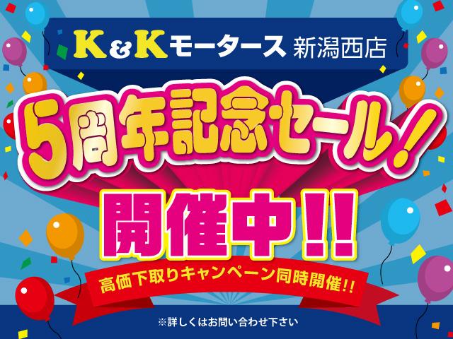 ライダー DIG-S スーパーチャージャー スマートキー プッシュスタート SDナビ フルセグTV Bluetooth接続 ETC HIDヘッドライト オーテック15インチアルミホイール アイドリングストップ ドアバイザー(41枚目)