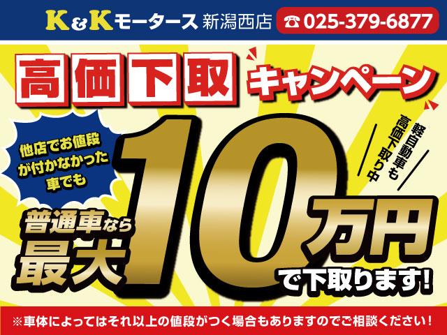 ライダー DIG-S スーパーチャージャー スマートキー プッシュスタート SDナビ フルセグTV Bluetooth接続 ETC HIDヘッドライト オーテック15インチアルミホイール アイドリングストップ ドアバイザー(42枚目)