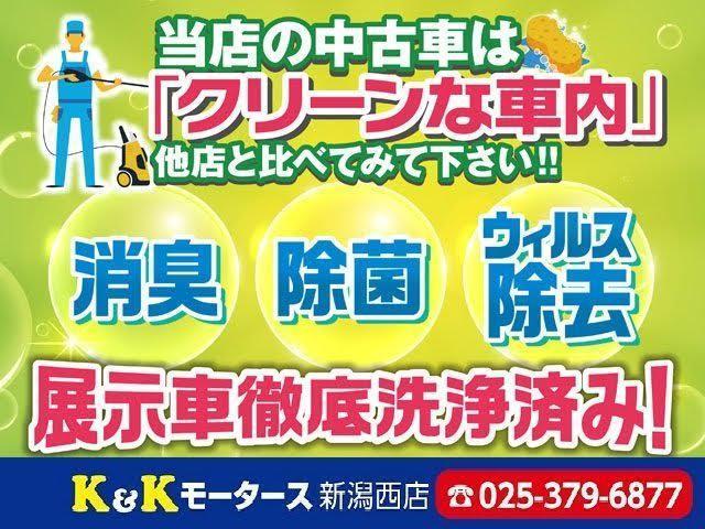 ライダー DIG-S スーパーチャージャー スマートキー プッシュスタート SDナビ フルセグTV Bluetooth接続 ETC HIDヘッドライト オーテック15インチアルミホイール アイドリングストップ ドアバイザー(43枚目)