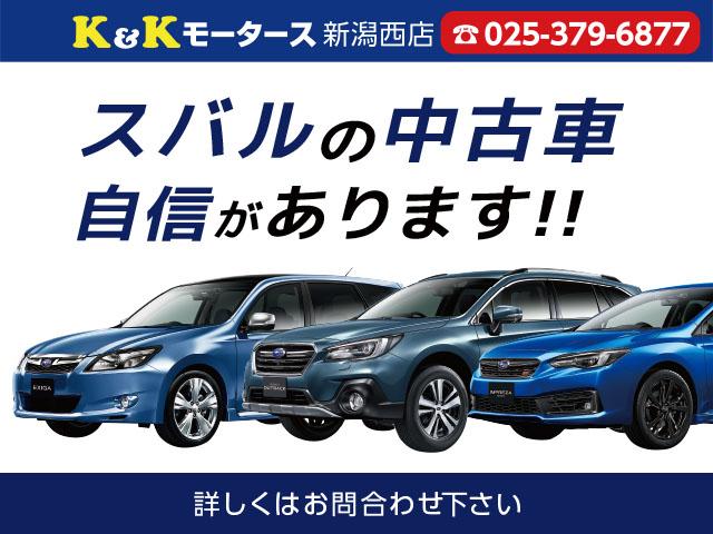 ライダー DIG-S スーパーチャージャー スマートキー プッシュスタート SDナビ フルセグTV Bluetooth接続 ETC HIDヘッドライト オーテック15インチアルミホイール アイドリングストップ ドアバイザー(46枚目)