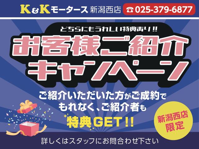 ライダー DIG-S スーパーチャージャー スマートキー プッシュスタート SDナビ フルセグTV Bluetooth接続 ETC HIDヘッドライト オーテック15インチアルミホイール アイドリングストップ ドアバイザー(47枚目)