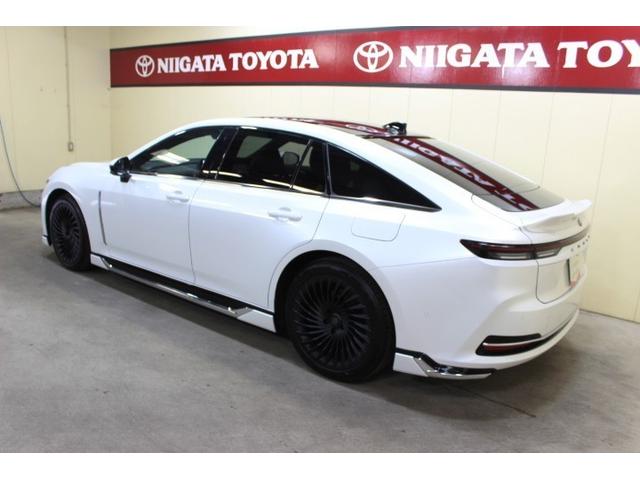 プレシャスホワイトパール明るく上品なパールホワイト最も新しいホワイト系になります。