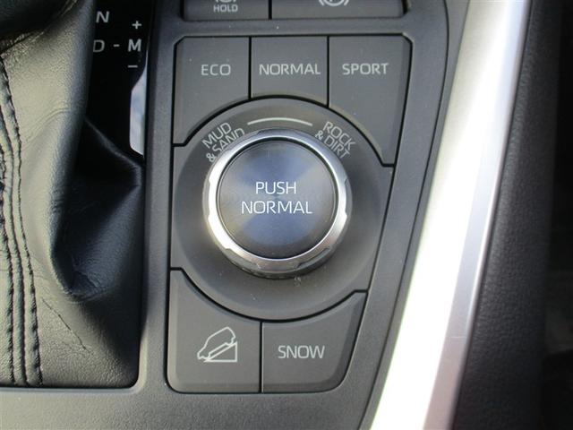 RAV4 アドベンチャー 4WD 衝突被害軽減システム バックカメラ スマートキー ミュージックプレイヤー接続可 横滑り防止機能 LEDヘッドランプ ワンオーナー キーレス 盗難防止装置 電動シート 乗車定員5人 ABS(8枚目)