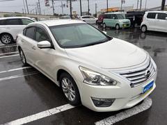 �ƥ����� �أ̡����ޡ��ȥ������ץå��她�����ȡ����꡼�ʥӡ��ã� 1200918A30251104W003 3