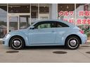 VOLKSWAGEN THE BEETLE