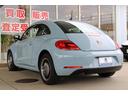 VOLKSWAGEN THE BEETLE