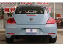 VOLKSWAGEN THE BEETLE