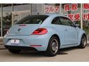 VOLKSWAGEN THE BEETLE