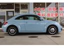VOLKSWAGEN THE BEETLE