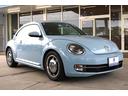 VOLKSWAGEN THE BEETLE