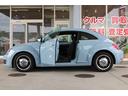 VOLKSWAGEN THE BEETLE