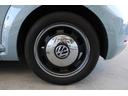VOLKSWAGEN THE BEETLE