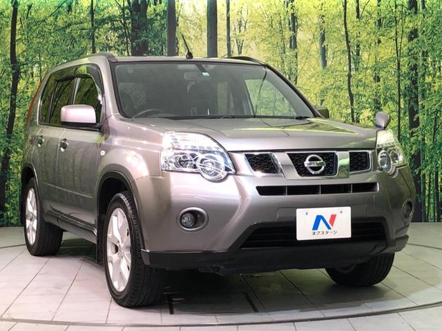 20Xtt 4WD 純正SDナビ バックカメラ オートライト HIDヘッドライト クルーズコントロール プライバシーガラス ドアバイザー 運転席/助手席シートヒーター ダウンヒルアシストコントロール ワンセグTV(22枚目)