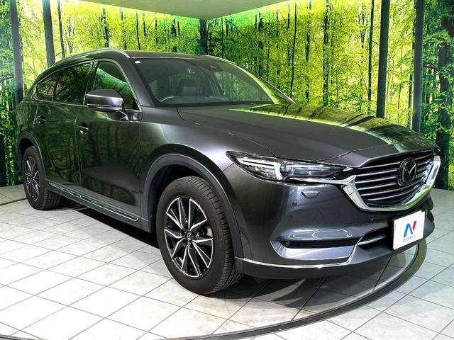 ＣＸ－８ ＸＤ　Ｌパッケージ　４ＷＤ　ターボ　７人乗り　マツダコネクトナビ　衝突軽減　全周囲カメラ　電動リアゲート　ＥＴＣ　シートベンチレーション　ステアリングヒータ―　ＬＥＤヘッド　アイドリングストップ　スマートキー（27枚目）