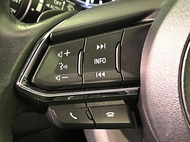 ＣＸ－８ ＸＤ　Ｌパッケージ　４ＷＤ　ターボ　７人乗り　マツダコネクトナビ　衝突軽減　全周囲カメラ　電動リアゲート　ＥＴＣ　シートベンチレーション　ステアリングヒータ―　ＬＥＤヘッド　アイドリングストップ　スマートキー（54枚目）