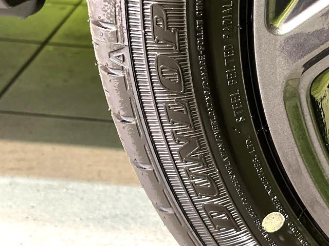 ハスラー タフワイルド　届出済未使用車　衝突被害軽減システム　レーダークルーズ　スマートキー　ＬＥＤヘッド　ルーフレール　車線逸脱警報　オートライト　オートエアコン　純正１５インチアルミ　ＬＥＤフォグ　盗難防止装置（54枚目）