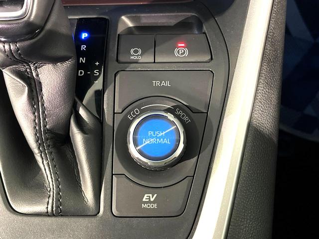 RAV4 ハイブリッドG 4WD 純正9型ナビ バックカメラ 衝突軽減 寒冷地仕様 ステアリングヒーター シートヒーター ドラレコ LEDヘッド フロントフォグ オートハイビーム オートライト オートエアコン HDMI接続(51枚目)