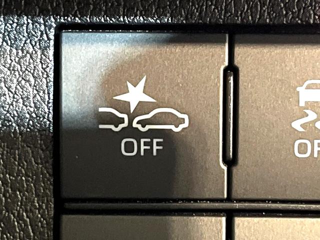 ムーヴキャンバス ストライプスＧ　純正９型ディスプレイオーディオ　全周囲カメラ　両側電動スライド　シートヒーター　ＬＥＤヘッド　Ｂｌｕｅｔｏｏｔｈ接続　ＥＴＣ　オートエアコン　置き型充電　スマートキー　盗難防止装置　横滑り防止装置（32枚目）