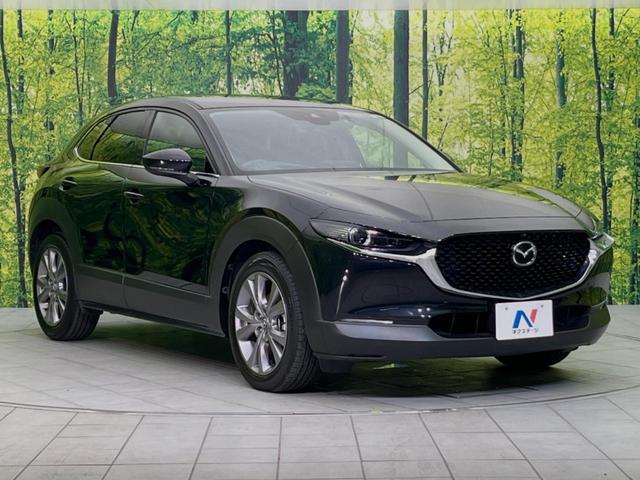 ＣＸ－３０ ２０Ｓ　プロアクティブ　ツーリングセレクション　メーカーオプションナビ　全周囲カメラ　レーダークルーズ　禁煙車　Ｂｌｕｅｔｏｏｔｈ再生　ＥＴＣ　フルセグＴＶ　ドラレコ　シートヒーター　パワーシート　ＬＥＤヘッド　クリアランスソナー　ＤＶＤ／ＣＤ再生（17枚目）