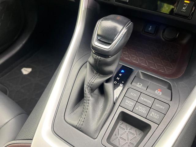 ＲＡＶ４ Ｇ　４ＷＤ　禁煙車　純正９型ＤＡ　Ｂｌｕｅｔｏｏｔｈ接続　フルセグ　全周囲カメラ　電動リアゲート　衝突軽減装置　コーナーセンサー　レーダークルーズ　合皮シート　パワーシート　純正１８インチアルミ　ＥＴＣ（22枚目）