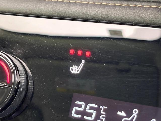 セレナ ハイウェイスターＶ　禁煙車　寒冷地仕様　純正１２型ナビ　全周囲カメラ　フルセグ　Ｂｌｕｅｔｏｏｔｈ　純正フリップダウンモニター　衝突軽減装置　ＬＥＤヘッド／フォグライト　オートハイビーム　プロパイロット　両側電動スライド（36枚目）