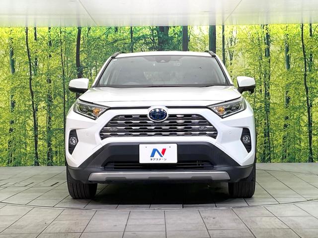 ＲＡＶ４ ハイブリッドＧ　４ＷＤ　禁煙車　純正９型ナビ　バックカメラ　ＣＤ／フルセグ／Ｂｌｕｅｔｏｏｔｈ　ＬＥＤヘッド　オートライト　オートマチックハイビーム　ステアリングヒーター　パワーバックドア　シートヒーター　ＥＴＣ（14枚目）
