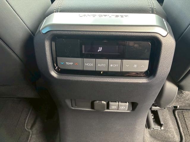 ランドクルーザー250 VX ワンオーナー サンルーフ ルーフレール 黒革シート 純正ディスプレイオーディオ フルセグ Bluetooth 360度カメラ ステアリモコン クルコン デジタルインナーミラー シートヒータークーラー(32枚目)