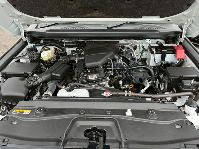 ランドクルーザー250 VX ワンオーナー サンルーフ ルーフレール 黒革シート 純正ディスプレイオーディオ フルセグ Bluetooth 360度カメラ ステアリモコン クルコン デジタルインナーミラー シートヒータークーラー(45枚目)