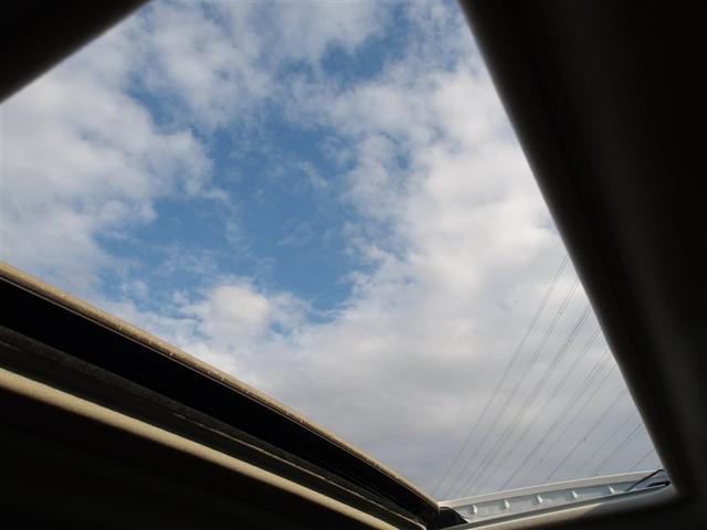 レヴォーグ　レイバック レヴォーグ　レイバック　サンルーフ　４ＷＤ　フルセグ　メモリーナビ　ＤＶＤ再生　バックカメラ　衝突被害軽減システム　ＥＴＣ　ドラレコ　ＬＥＤヘッドランプ　フルエアロ（11枚目）