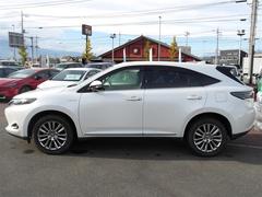 ϥꥢϥ֥å ץߥࡡףġե륻꡼ʥӡģ֣ĺ 1201020A20251107T001 7