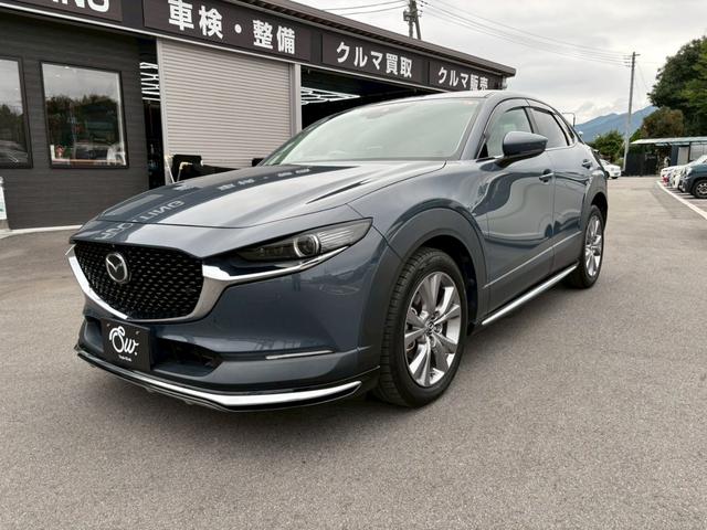 ＣＸ－３０ ２０Ｓ　プロアクティブ　ツーリングセレクション　認定中古車／ワンオーナー／３６０度セーフティーＰＫＧ／８．８インチ純正ナビ／フルセグＴＶ／Ｂｌｕｅｔｏｏｔｈ／全周囲モニター／ソナー／ＨＵＤ／ＬＥＤ／ドラレコ／シートヒーター／パワーバックドア（9枚目）