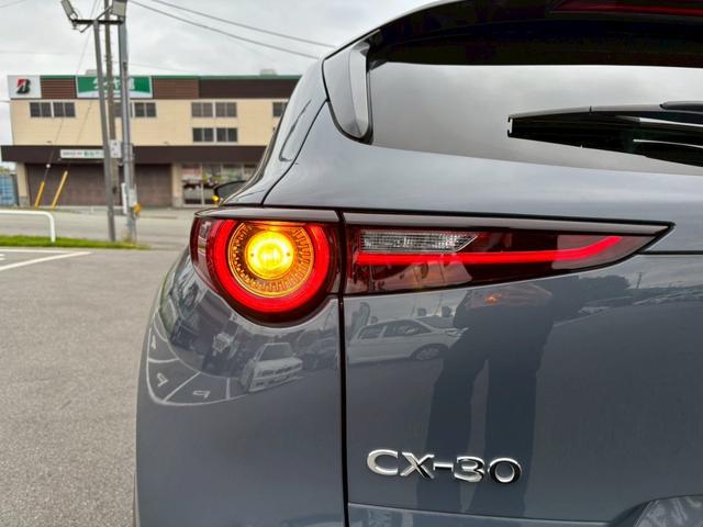 ＣＸ－３０ ２０Ｓ　プロアクティブ　ツーリングセレクション　認定中古車／ワンオーナー／３６０度セーフティーＰＫＧ／８．８インチ純正ナビ／フルセグＴＶ／Ｂｌｕｅｔｏｏｔｈ／全周囲モニター／ソナー／ＨＵＤ／ＬＥＤ／ドラレコ／シートヒーター／パワーバックドア（38枚目）
