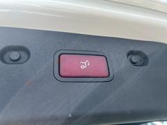 ť饹ơ若 ţơ若ǧż֡롼եꥢХåȡ롼աҳʥ 1201060A30250712W002 5