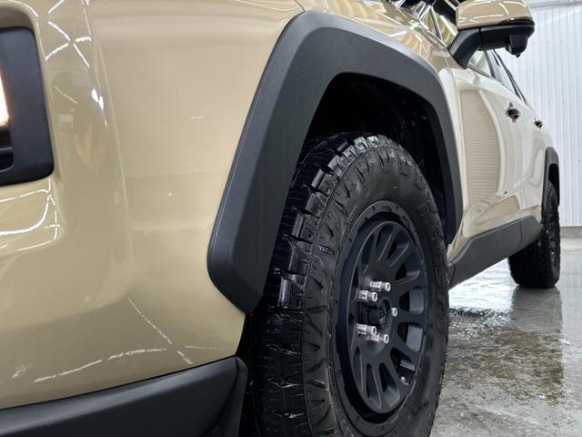 ＲＡＶ４ アドベンチャー（30枚目）