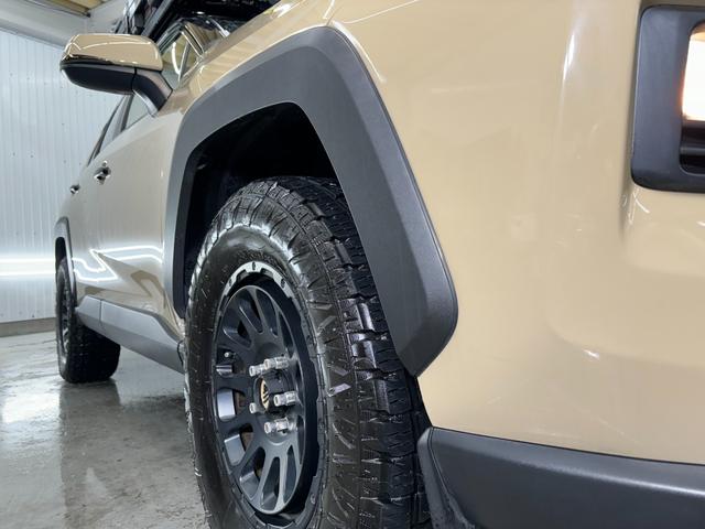 ＲＡＶ４ アドベンチャー（31枚目）