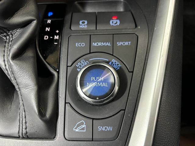 ＲＡＶ４ アドベンチャー（54枚目）