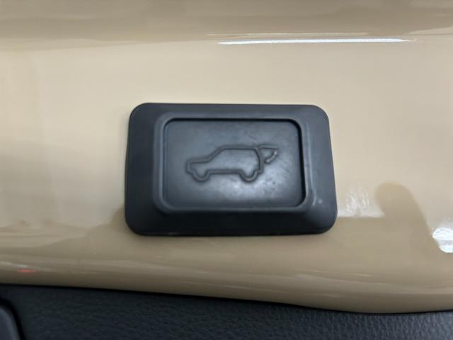 ＲＡＶ４ アドベンチャー（73枚目）