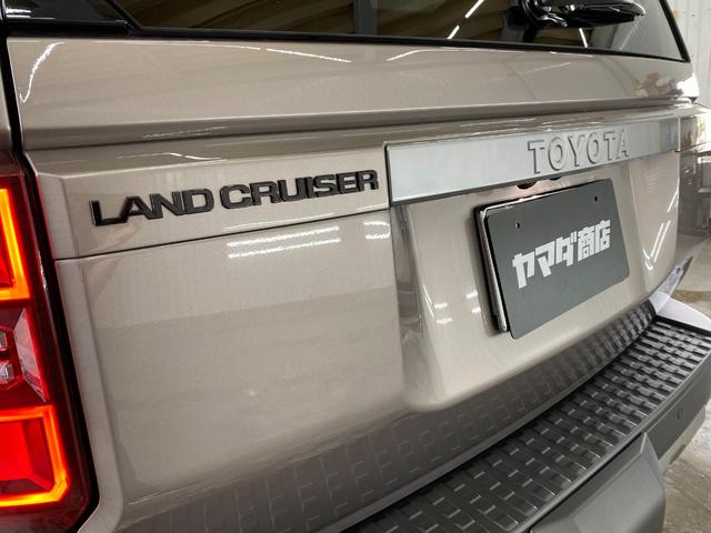 ランドクルーザー２５０ ＶＸ　全方位モニター　フルセグテレビ　Ｂｌｕｅｔｏｏｔｈ　４ＷＤ　レーンアシスト　ＥＴＣ　サンルーフ　パワーシート　衝突被害軽減システム　ルーフレール　パワーバックドア　クリアランスソナー　禁煙車　ナビＴＶ（21枚目）