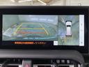 ＶＸ　全方位モニター　フルセグテレビ　Ｂｌｕｅｔｏｏｔｈ　４ＷＤ　レーンアシスト　ＥＴＣ　サンルーフ　パワーシート　衝突被害軽減システム　ルーフレール　パワーバックドア　クリアランスソナー　禁煙車　ナビＴＶ（34枚目）