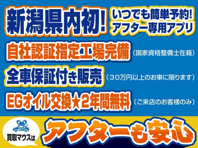 ハイウェイスター　社外ＨＤＤナビ　ＣＤ　ＤＶＤ　ＭＳ　ＵＳＢ　ＡＵＸ　フルセグ　ＥＴＣ　左リヤパワースライドドア　アイドリングストップ　横滑り防止　スマートキー　純正１５インチアルミ(32枚目)