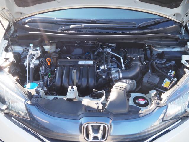 �k�C�����牫��܂őS���[�ԉ\�I�����̔������C����������