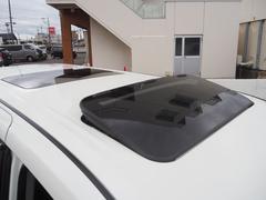 ץΥĥ󥵥롼աŪʥɥ饤֤ڤĺޤ 2