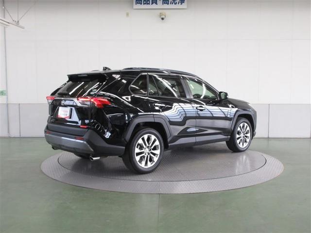 ＲＡＶ４ Ｇ　Ｚパッケージ　４ＷＤ　フルセグ　メモリーナビ　ミュージックプレイヤー接続可　バックカメラ　衝突被害軽減システム　ＥＴＣ　ＬＥＤヘッドランプ　ワンオーナー　記録簿（6枚目）