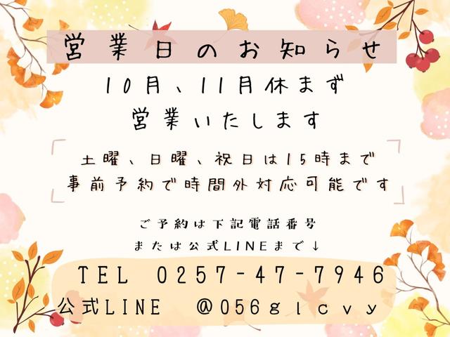 キャスト アクティバG ターボ SAII BTナビ Bカメ 両席シートヒーター(2枚目)