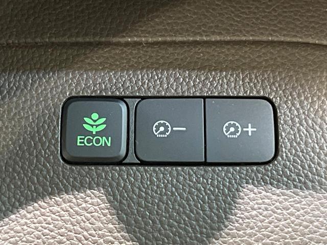 N-BOX L SDナビ 衝突軽減 バックカメラ 電動スライドドア Bluetooth ETC フルセグ LEDヘッド オートライト シートヒーター 横滑り防止装置 電動格納ミラー パワーウィンドウ スマートキー(33枚目)