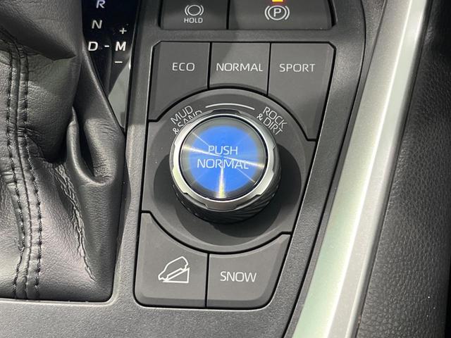 RAV4 アドベンチャー 4WD 純正9インチナビ 寒冷地仕様 バックカメラ 衝突軽減 レーダークルーズ ETC ドラレコ Bluetooth フルセグ シートベンチレーション パワーバックドア パワーシート LEDヘッド(49枚目)