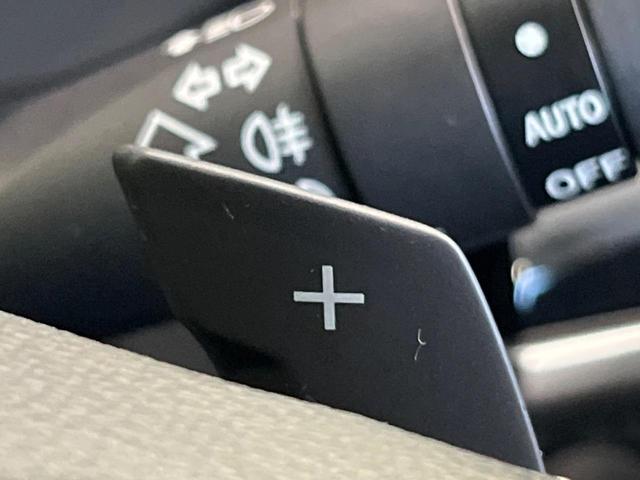 フォレスター 2.0i-L アイサイト 寒冷地仕様 4WD 純正ダイアトーンナビ 衝突軽減 バックカメラ Bluetooth ETC レーダークルーズ シートヒーター LEDヘッド オートライト オートエアコン スマートキー パワーシート(29枚目)