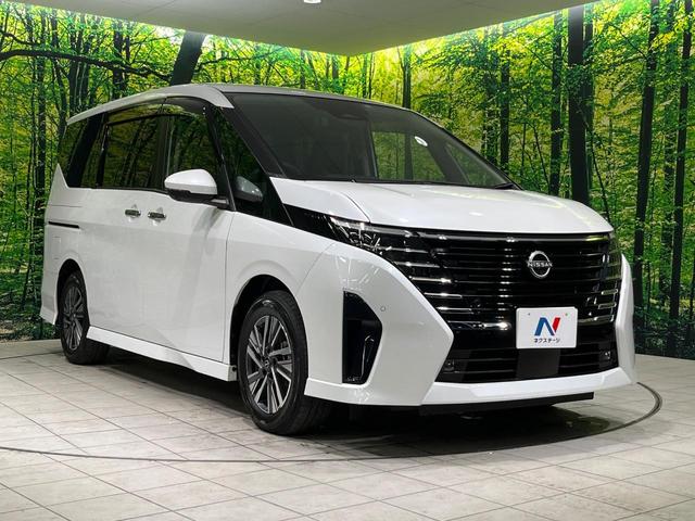 セレナ ハイウェイスターＶ　純正１２．３型ナビ　プロパイロット　全周囲カメラ　後席モニター　両側パワスラ　デジタルインナーミラー　Ｂｌｕｅｔｏｏｔｈ　ＥＴＣ　フルセグ　ＬＥＤヘッド　オートライト　ダブルエアコン　スマートキー（17枚目）