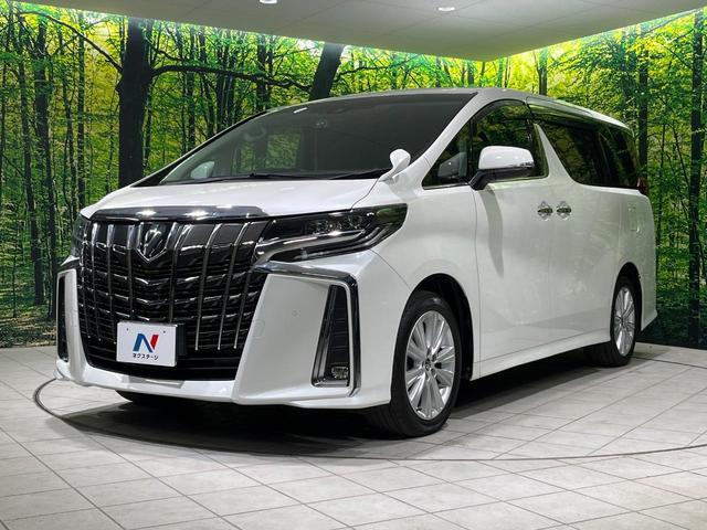 アルファード ２．５Ｓ　後席モニター　両側電動ドア　純正９型ディスプレイオーディオ　バックカメラ　衝突軽減　ＥＴＣ　Ｂｌｕｅｔｏｏｔｈ　レーダークルーズ　ＬＥＤヘッド・フォグ　クリアランスソナー　リアオートエアコン（60枚目）